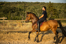 Man Riding Horses In Paddock