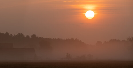 Wall Mural - misty sunrise over an agricultural farm