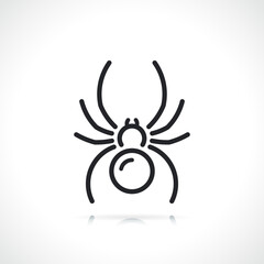 Wall Mural - spider thin line icon isolated