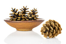 Group Of Four Whole Beautiful Pine Cone In Ceramic Bowl Isolated On White Background