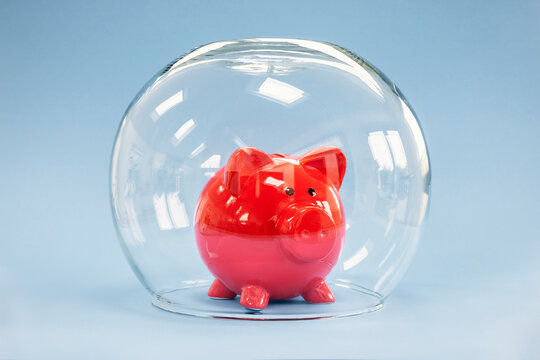 Protecting your savings, goldfish bowl covering a piggy bank