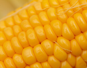 Canvas Print - Yellow corn as a background.