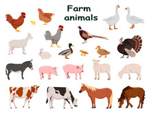 Big Set Of Farm Animals And Domestic Birds. Country Pet. Isolated Character On A White Background. Vector Illustration In A Flat Style.