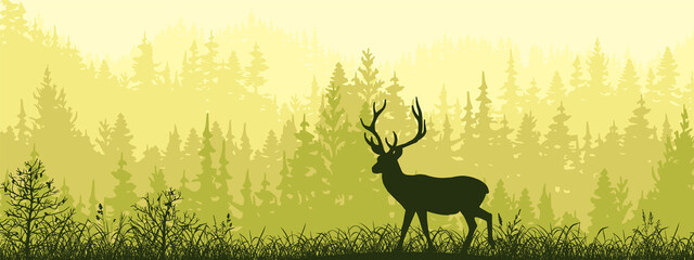 Wall Mural - Horizontal banner. Silhouette of deer standing on meadow in forrest. Silhouette of animal, trees, grass. Magical misty landscape, fog. Green, black illustration. 