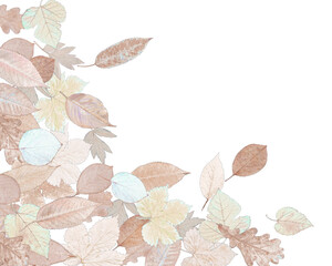 Wall Mural - Stylized graphic autumn leaves border isolated on white background for fall season concept.