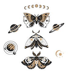 Wall Mural - butterfly magic mystic set with planet, star and moon. alchemy art element vector symbol.