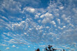 © Random Hamster - moln på himlen 하늘에 구름 clouds in the sky