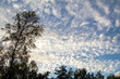 © Random Hamster - moln på himlen 하늘에 구름 clouds in the sky