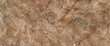 © Vidal - Brown marble stone texture, polished ceramic tile surface