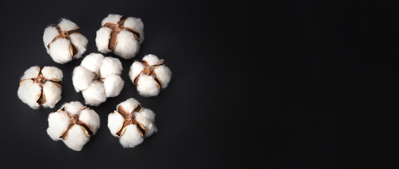 Wall Mural - Cotton flowers isolated on black background. studio shot flat lay top view angle. White cotton flowers represent soft gentle and  delicate. Showing texture of cotton by close up shot.  