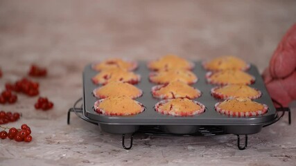 Wall Mural - Freshly baked homemade redcurrant muffins.