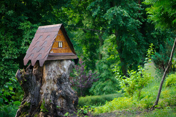 Wall Mural - house in the forest for animals and birds. Wooden bird house in the summer park. on an tree stump. Old wooden feeder for birds on a tree, empty bird's feeder caring about wild birds in cold season.