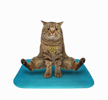 A Beige Cat Is Doing Yoga Exercises On A Blue Square Fitness Mat. Zen Cat. White Background. Isolated.