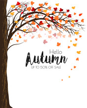 Enjoy Autumn Sale Background With Trees And Colorful Leaves. Vector