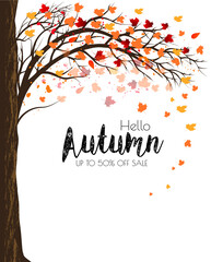 Poster - Enjoy Autumn Sale background with trees and colorful leaves. Vector