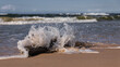 Rozbijająca się fala morska o konar leżący na plaży