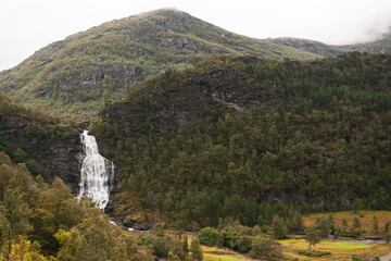 Sticker - Scenic shot of the Steinsdalsfossen waterfall surrounded by a mountain forest in Norway