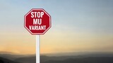 Fototapeta Las - Traffic sign: ‘STOP MU VARIANT’ on cement pole beside the rural road with sunset and landscape background, copy space, concept for calling drivers and passengers to stop new variant coronavirus now.