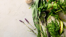 Herbs On Light Gray Background.