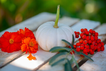 white decorative pumpkin and rowan on the board