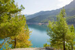 Beautiful nature in Turkey Lake Dim tea among mountains and trees