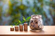 Coins in jar glass and stack. Plant growing in saving coins. Saving money and investment concept.