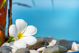 Fototapeta Desenie - Plumeria white flower and beach background. pagoda on rock beach, Summer concept .