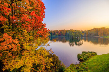 Wall Mural - Autumn park landscape with a lake. Autumn. A new season. Beautiful landscape. Yellow trees. Photos for printed products . An article about autumn .