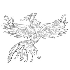 Contour linear illustration for coloring book with decorative phoenix. Beautiful fancy bird,  anti stress picture. Line art design for adult or kids  in zen-tangle style, tatoo and coloring page.