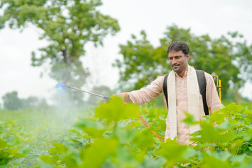 Wall Mural - indian farmer spraying pesticide at cotton field.