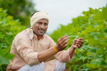 Wall Mural - Young indian farmer at green cotton agriculture field.