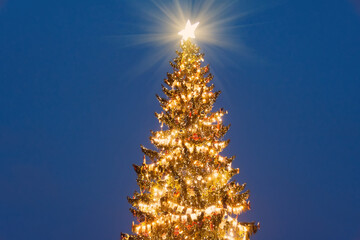 christmas tree with a bright star on top of the head in the evening on the outside street.