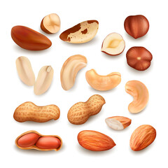 Wall Mural - Nuts Delicious Natural Bio Nutrition Set Vector. Peanut And Brazil Nuts, Cashew And Hazelnut Fresh Food In Shell And Cut Pieces. Fresh Harvesting Seed Nutriment Template Realistic 3d Illustrations
