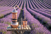 Distillation Of Lavender Essential Oil And Hydrolate. Copper Alambik For The Flowering Field.