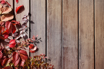 Wall Mural - red autumn leaves on old wooden background