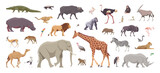 Fototapeta Fototapety na ścianę do pokoju dziecięcego - Flat set of african animals. Isolated animals on white background. Vector illustration