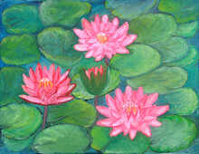 Pond Of Water Lilies