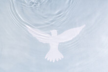 Silhouette Of White Dove On Water Background. Baptism Symbol.