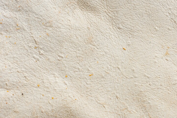 Wall Mural - macro close up of a rabbit hide