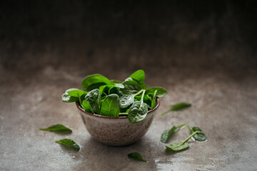 Wall Mural - Leaves of fresh baby spinach in a Bowl.