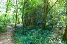 A Stone Cylinder Shaped Building In The Forest Covered With Colorful Graffiti Surrounded By Lush Green Trees At Lullwater Preserve In Decatur Georgia