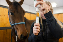Female Veterinarian Preparing Medication For Horse In Stable Stall