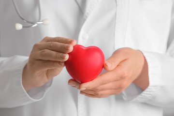 Wall Mural - Female cardiologist holding red heart, closeup