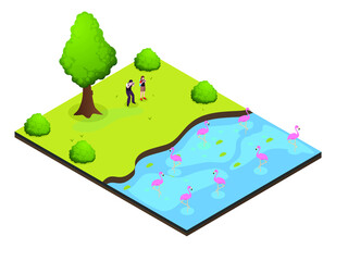 Tourist taking picture of flamingos on the lake. Ecotourism isometric vector concepts