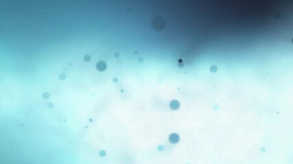 Wall Mural - close-up abstract snowflakes make their way through dense clouds. winter landscape. beautiful holida