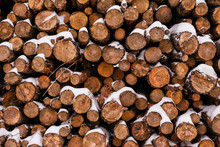 Stack Of Logs On Snowy Ground