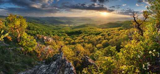Aufkleber - Green forest landscape from peak Zarnov, Slovakia