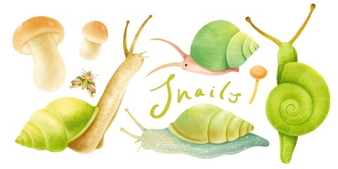 Sticker - Snails with autumn forest elements illustration watercolor styles