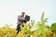 © Serhii - Portrait of senior hardworking farmer agronomist standing in soybean field checking crops before harvest. Organic food production and cultivation.