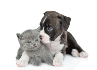 Poster - Friendly German Boxer puppy dog hugs and kisses tiny kitten. isolated on white background